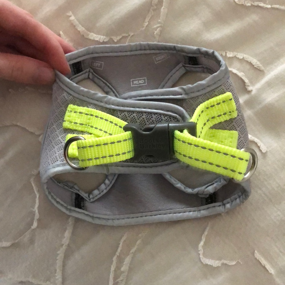 Extra Small Dog Harness